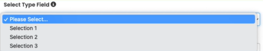 admin_custom_field_type_select.png