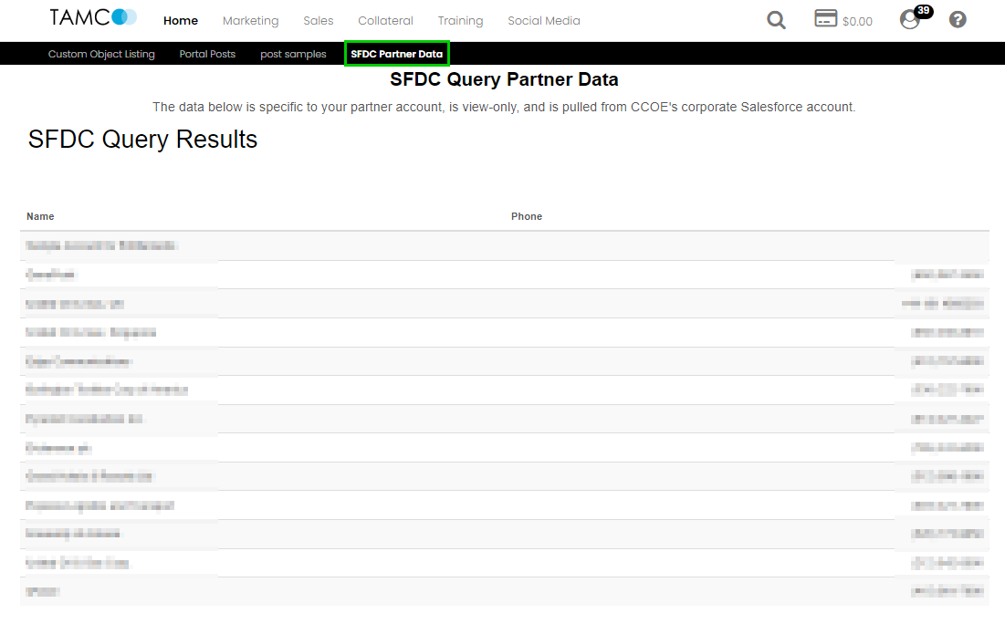 SFDC_Query_in_partner_portal.png